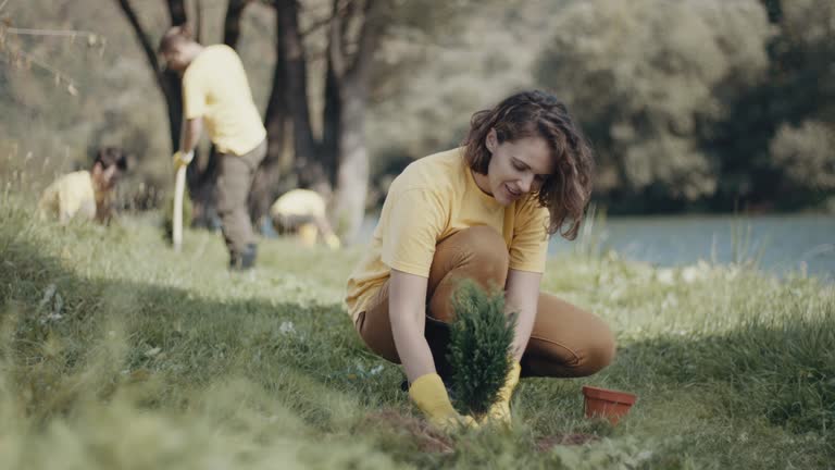 Artificial Turf Installation in Battle Ground, IN